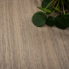 Coala Interior film, Wood NH77 - Honey Walnut - 1220mm