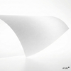 Curious Translucents - Papier Calque
