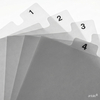 Curious Translucents - Papier Calque