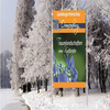 Orajet 3161DT – Transparant Monomeer Vinyl met Solventlijm 100μ