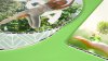 Smartbond Medium imprimé vert
