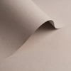 papier Olin Origins for HP Indigo Pebble 320g 460x320mm ingeriemd FSC®